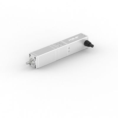 موتور خطی الکتریکی مستقیم و با دقت بالا با موتور سرو، 50/100mm Stroke، IP40