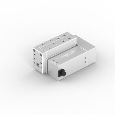 RobustMotion RM-RPLA الکتریکی سیلندری خطی اکتواتور، فشار قابل توجهی تحت خروجی بزرگ