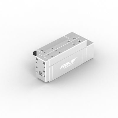 RobustMotion RM-RPLA الکتریکی صنعتی خطی اکتور با کنترل کننده یکپارچه، حداکثر نیروی خروجی 300N